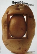 16481